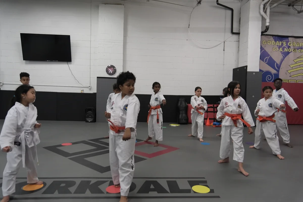 Taekwondo group class serving Toronto at Yorkdale Martial Arts Academy - team training